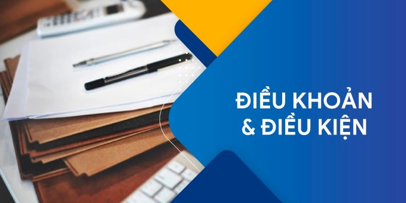 Tầm quan trọng của các thông tin điều khoản, điều kiện